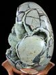 Septarian Dragon Egg Geode - Yellow Calcite Crystals #55494-2